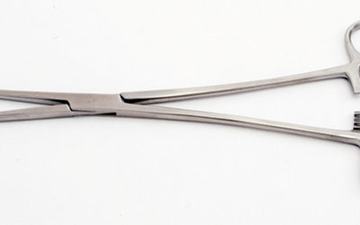 Pinza Pozzi 25cm